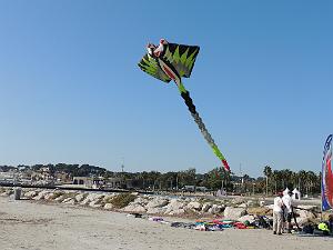 2024 11 02 EN FLANANT SUR SANARY (111)